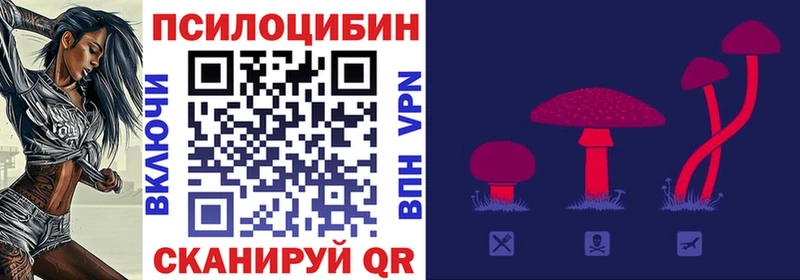 дарк нет телеграм  Горбатов  Псилоцибиновые грибы Cubensis 